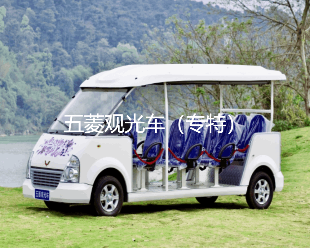 小型四輪電動(dòng)車圖片大全新版