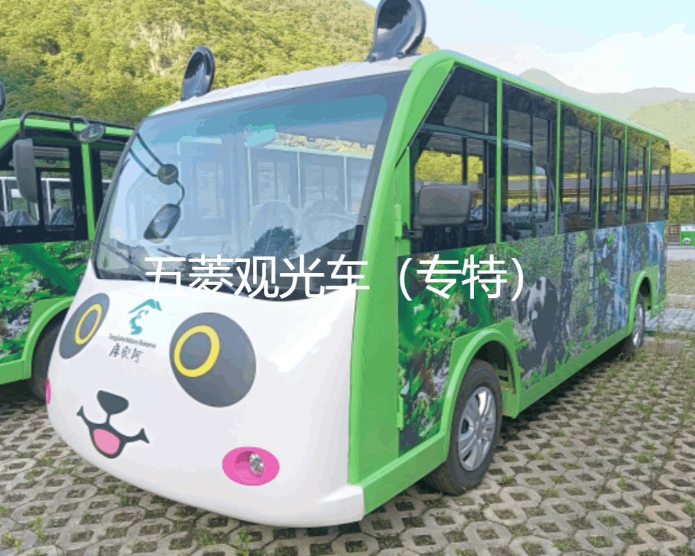 電動觀光車廠家介紹篇：專菱的電動之旅