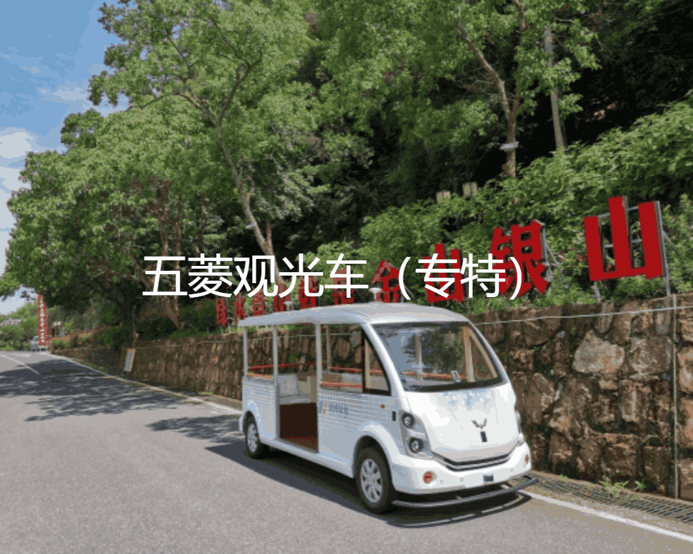 這都可以（觀光車）電動觀光車大概多少錢