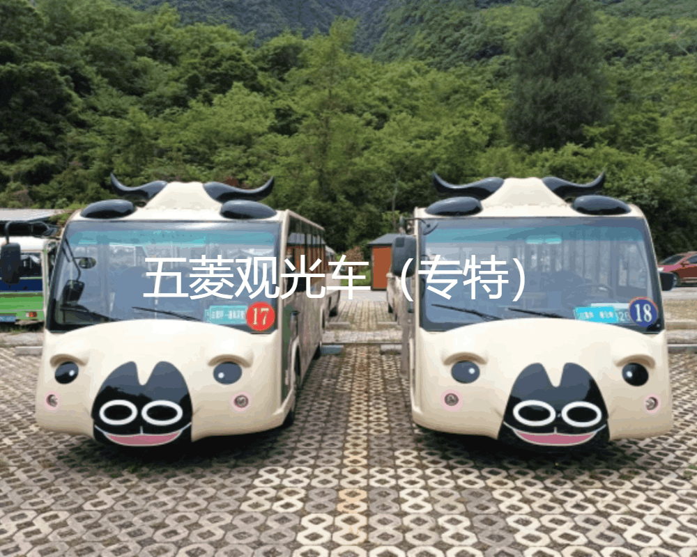 干貨分享（觀光車）電動(dòng)觀光車上路需要什么手續(xù)