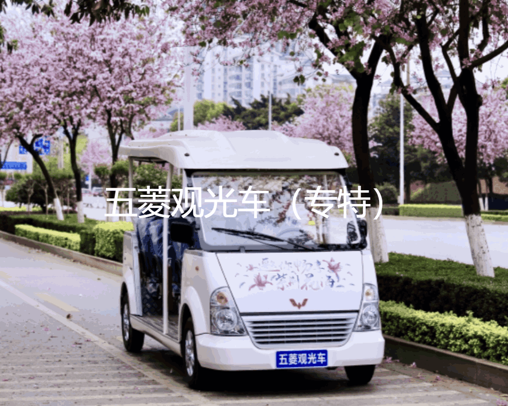 是什么讓客戶紛紛選擇我們的觀光車服務(wù)？