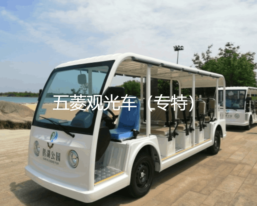 電動觀光車選購指南：游客視角的貼心考量