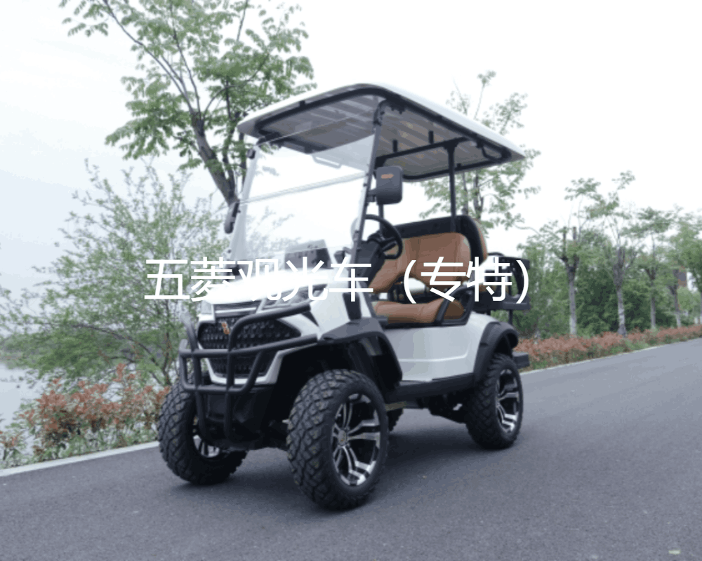 夏日電動(dòng)觀光車?yán)m(xù)航秘訣，高效運(yùn)行不是夢！