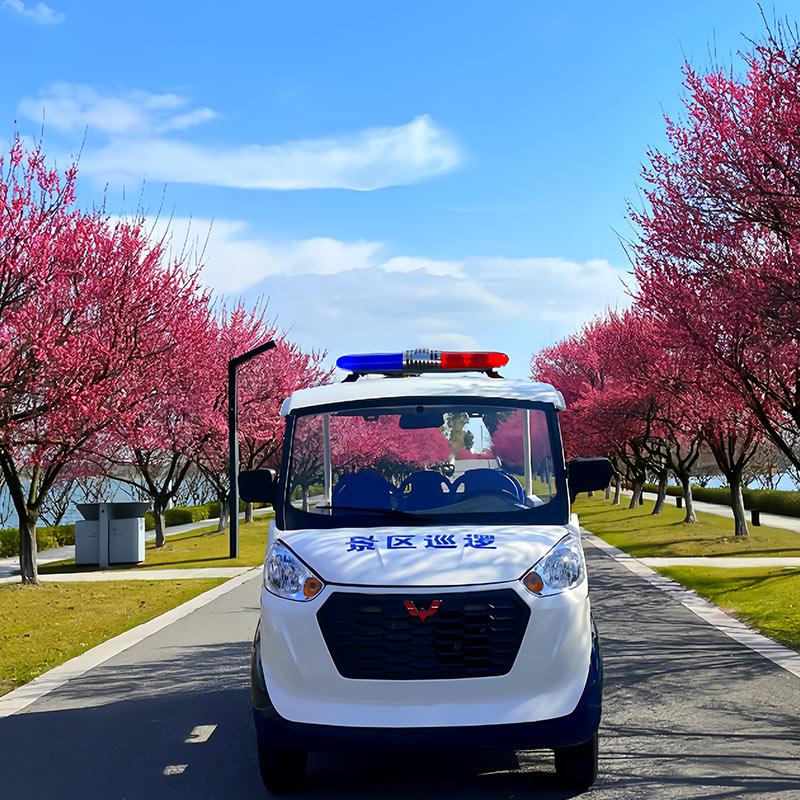 柳州電動巡邏車