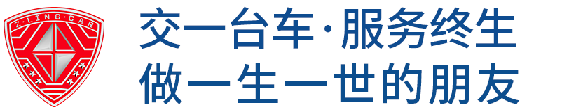 電動(dòng)觀光車(chē)-電動(dòng)巡邏車(chē)-電動(dòng)消巡車(chē)-高爾夫球車(chē),生產(chǎn)制造廠(chǎng)家-五菱